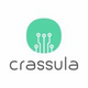 Crassula