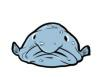 BlobFish Activity Hub