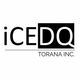 iCEDQ