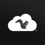 Squirrels LLC