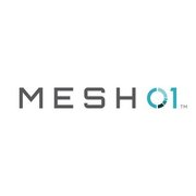 MESH01