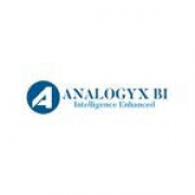 Analogyx BI